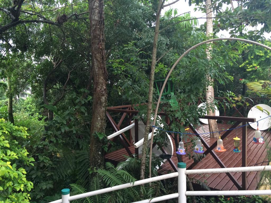Hotel Pousada Reimar Balneario Camboriu Ngoại thất bức ảnh