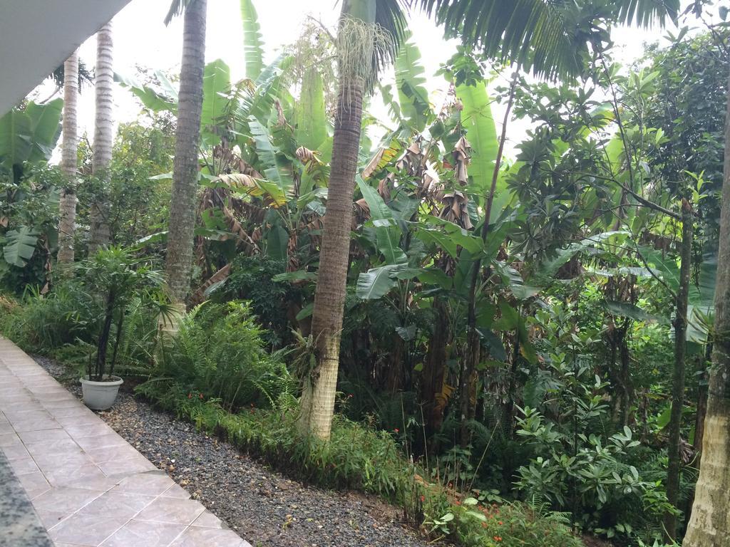 Hotel Pousada Reimar Balneario Camboriu Ngoại thất bức ảnh