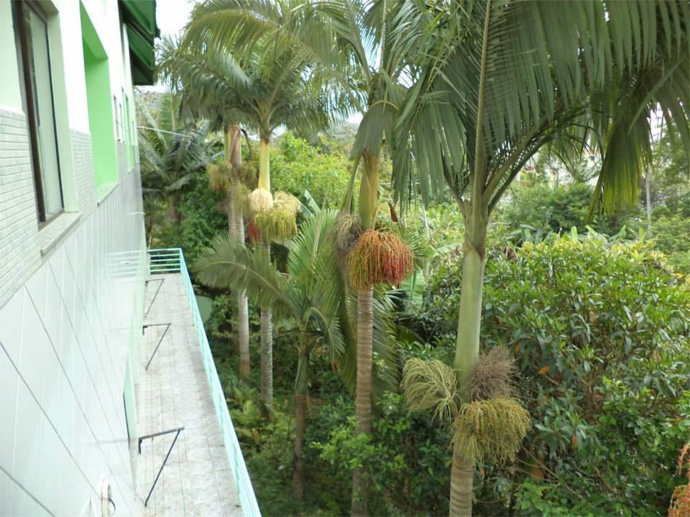 Hotel Pousada Reimar Balneario Camboriu Ngoại thất bức ảnh